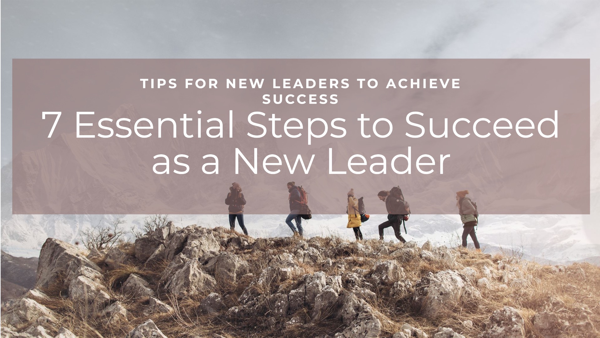 how to succeed as a new leader